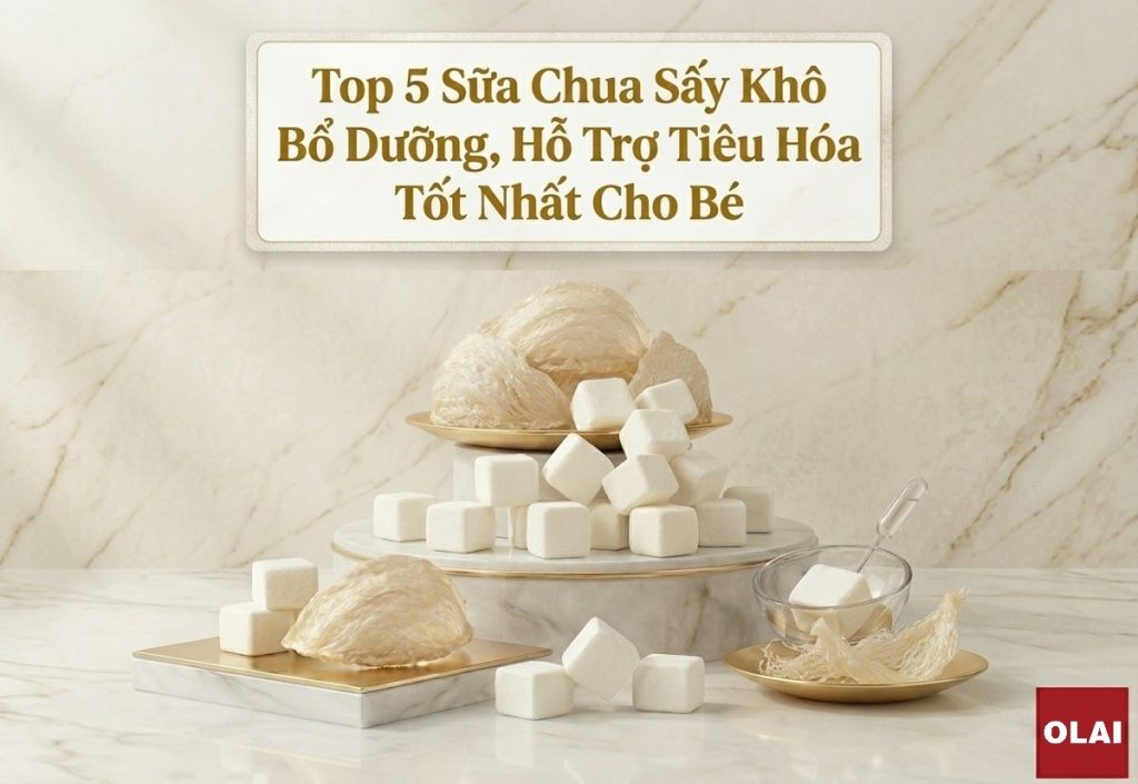 Top 5 Sữa Chua sấy Khô Bổ Dưỡng, Hỗ Trợ Tiêu Hóa Tốt Nhất Cho Bé 43