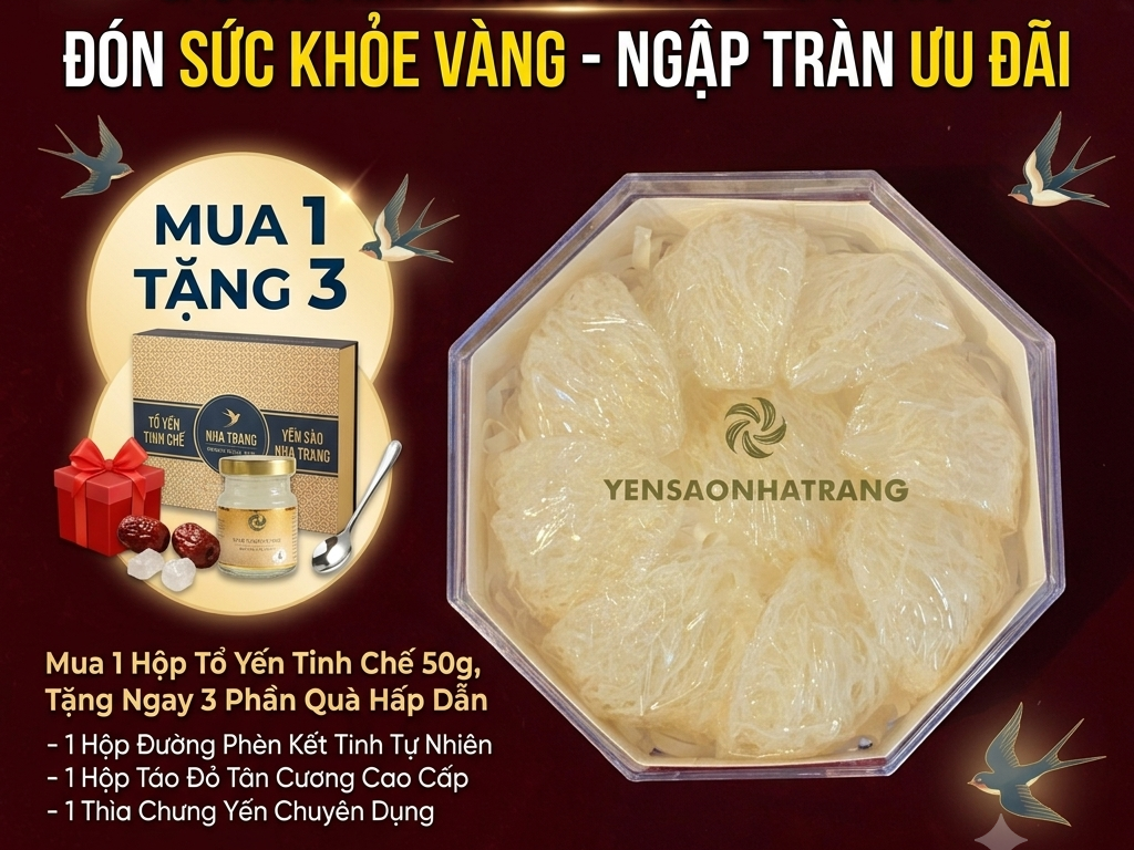 Chương trình khuyến mãi tổ yến tinh chế Nha Trang